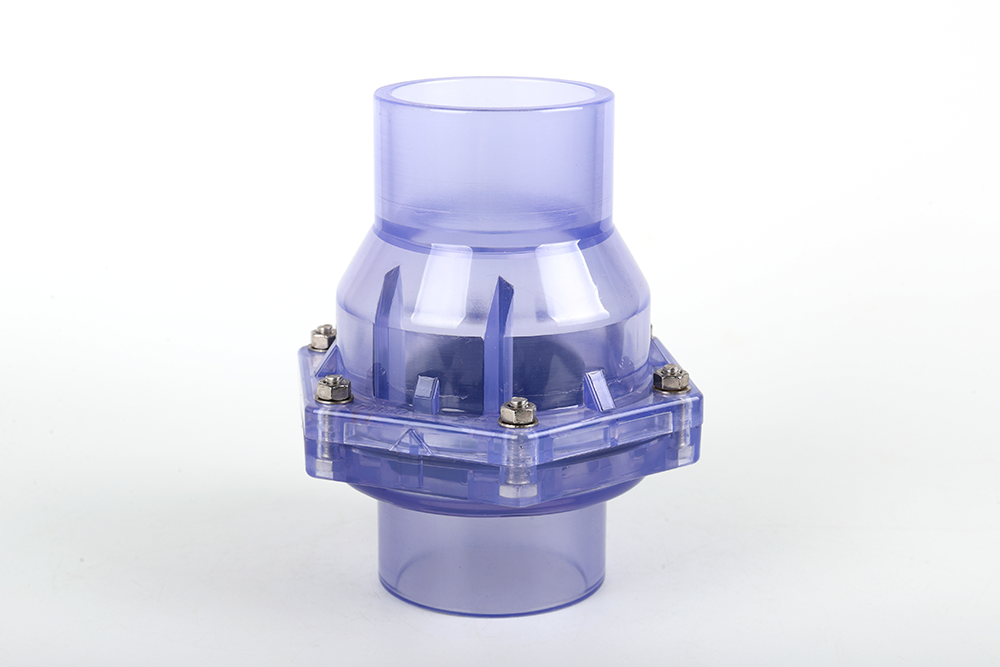 英州镇透明翻板式止回阀